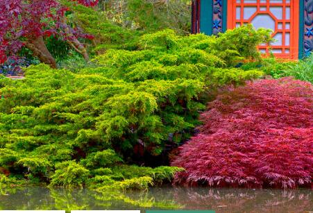 园林绿化公司:园林绿化不同等级资质承揽工程范围