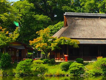 园林绿化公司:园林绿化不同等级资质承揽工程范围